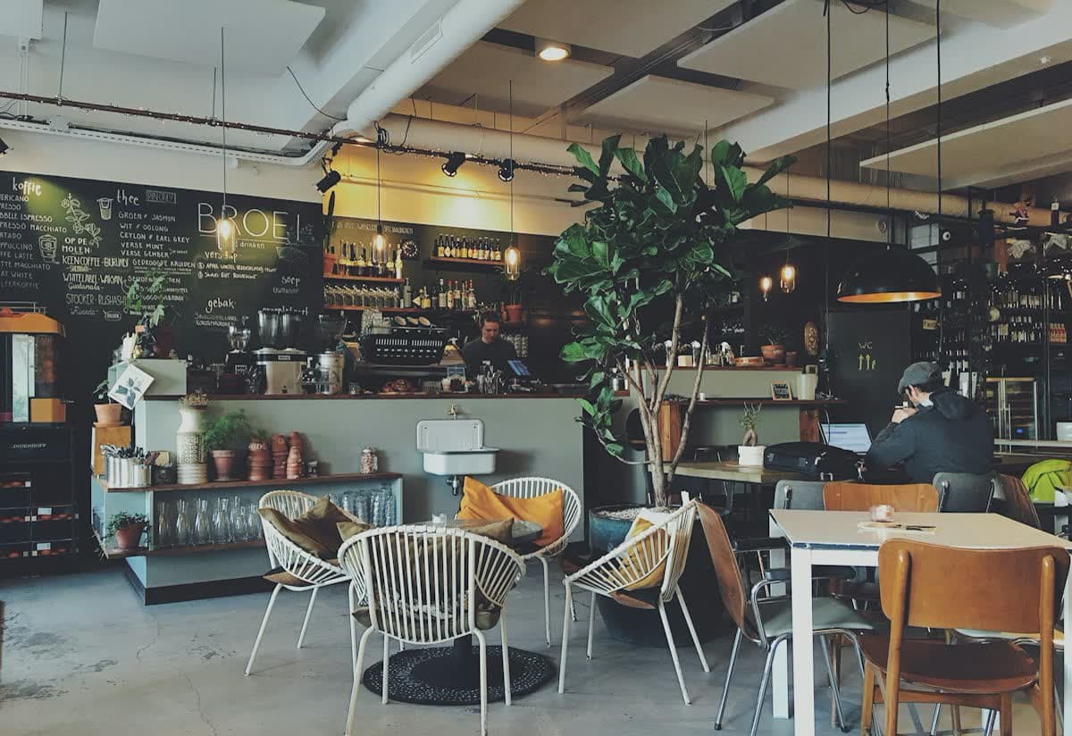 Zebra Cafe kapak fotoğrafı